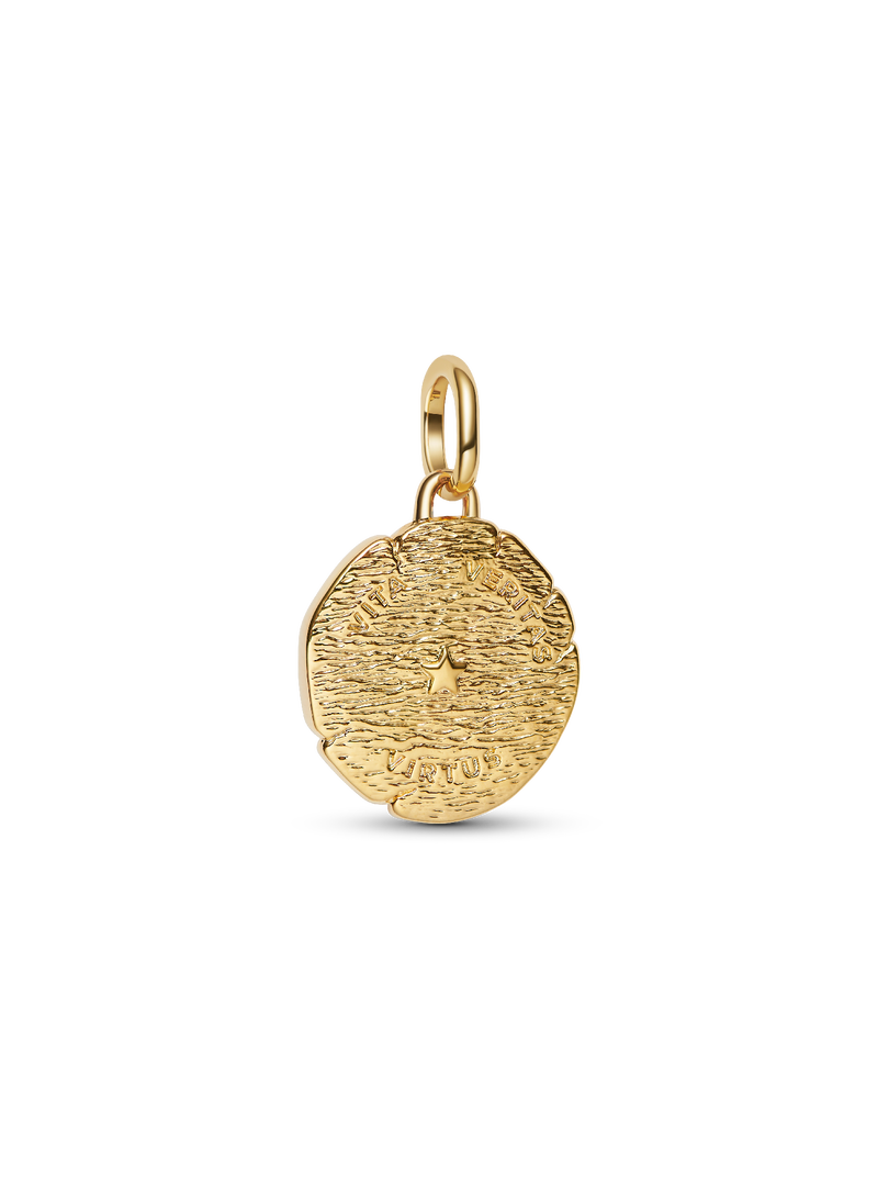 Lion Medallion Charm