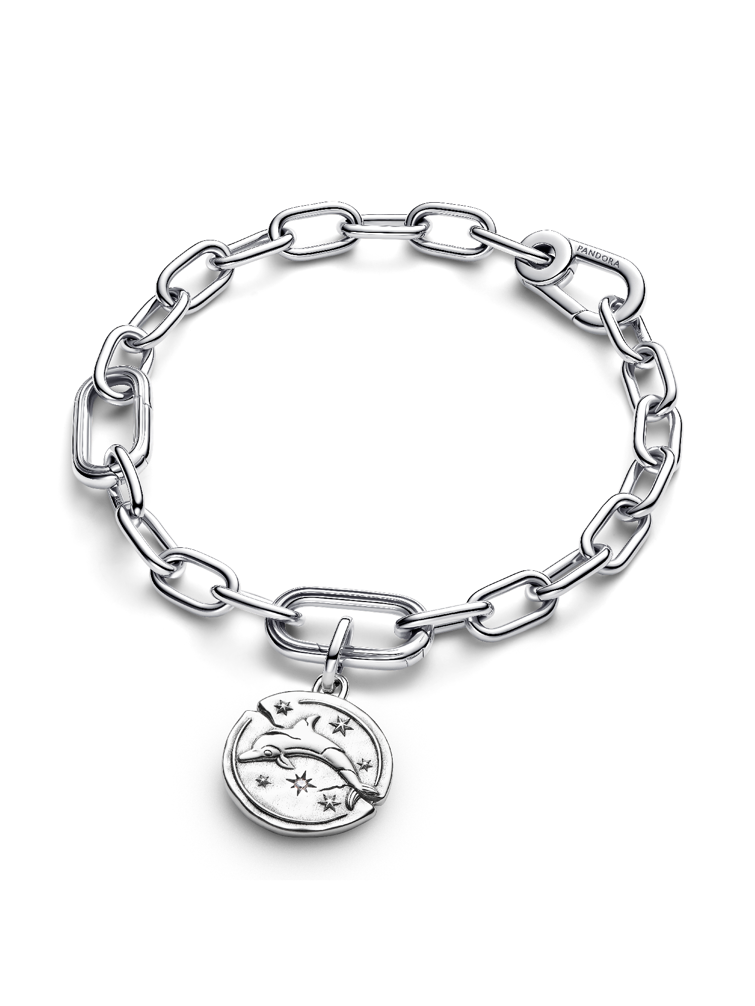 Dolphin Medallion Charm