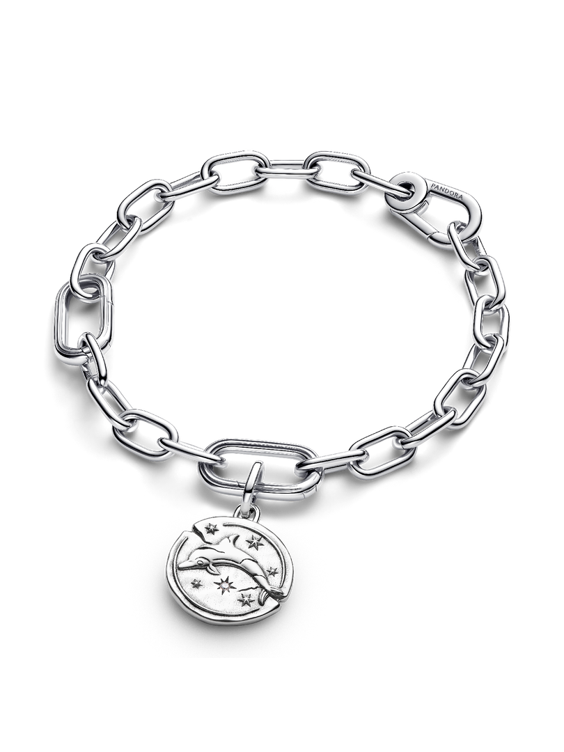 Dolphin Medallion Charm