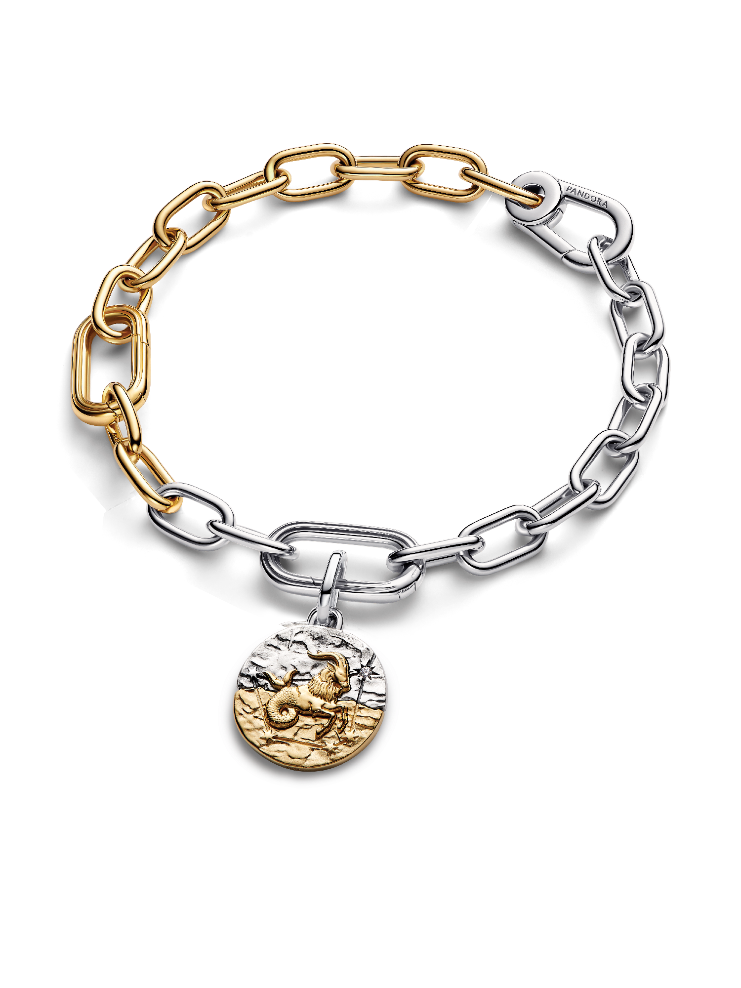 Capricorn Medallion Charm Bracelet