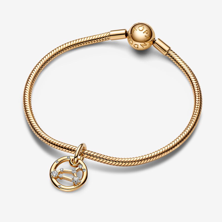 Leo Zodiac Dangle Charm Bracelet Set image number 0