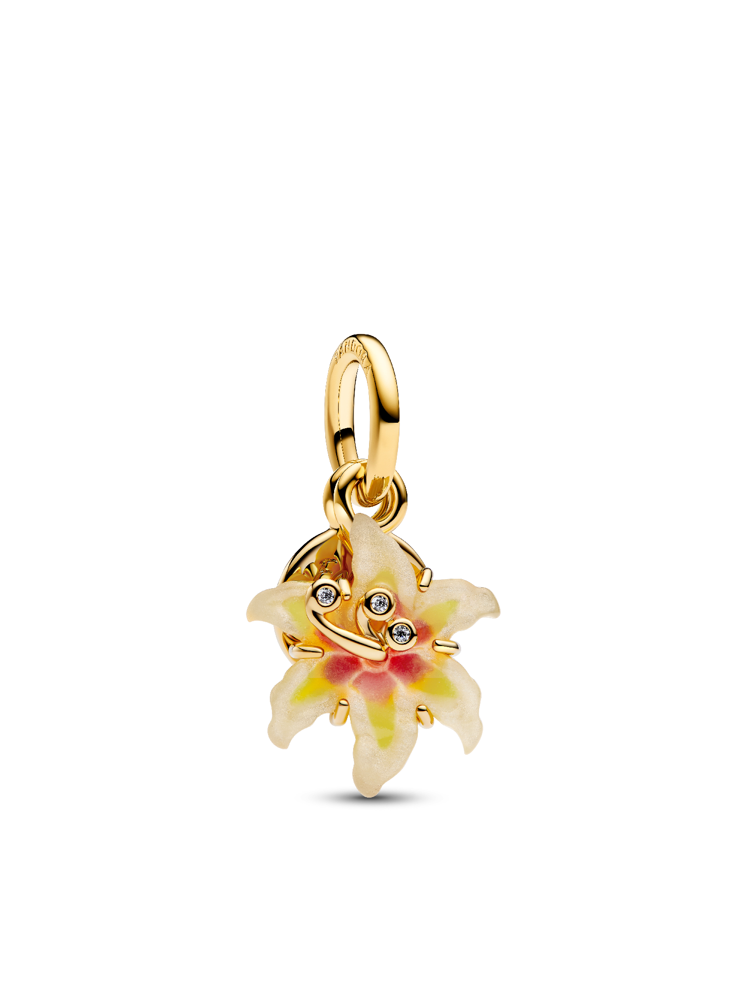 Disney Tangled Charm Duo