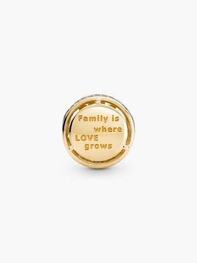 FINAL SALE - Openwork Family Roots Charm