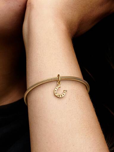 Lucky Horseshoe Dangle Charm