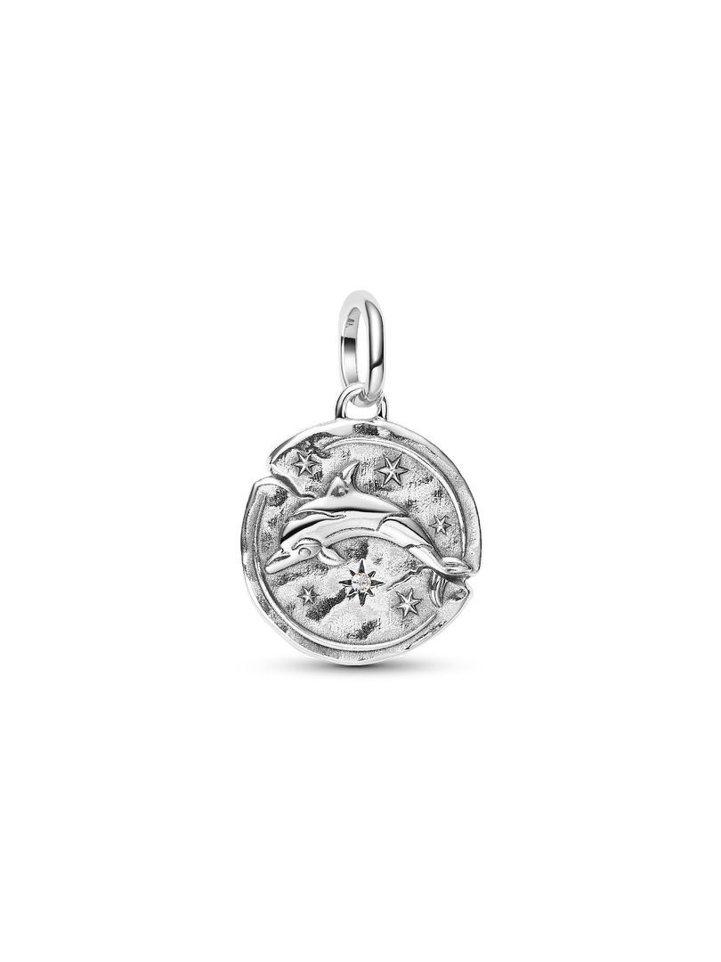 Dolphin Medallion Charm