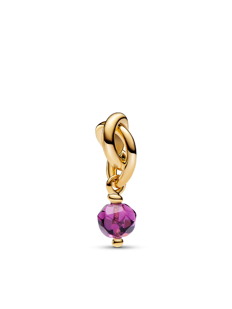 Collier à pendentif gravable avec charm Cercle éternel de février