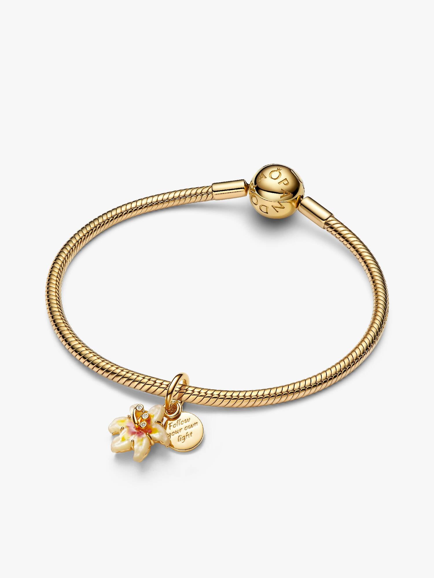 Disney Tangled Sundrop Flower Charm Bracelet Set
