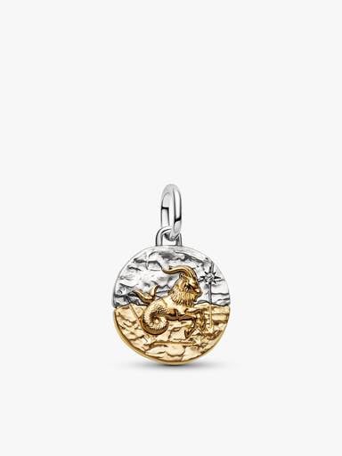 Capricorn Medallion Charm Bracelet