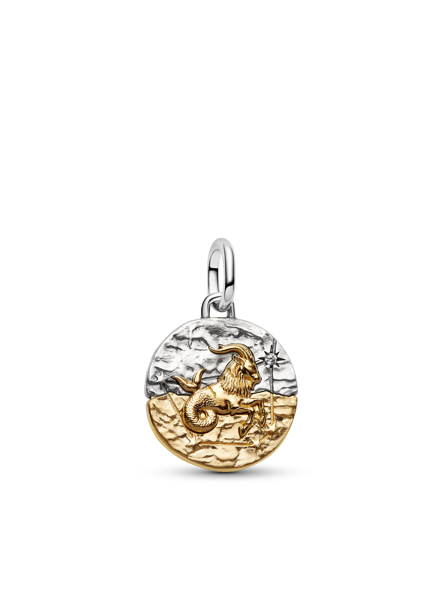 Capricorn Medallion Charm Bracelet