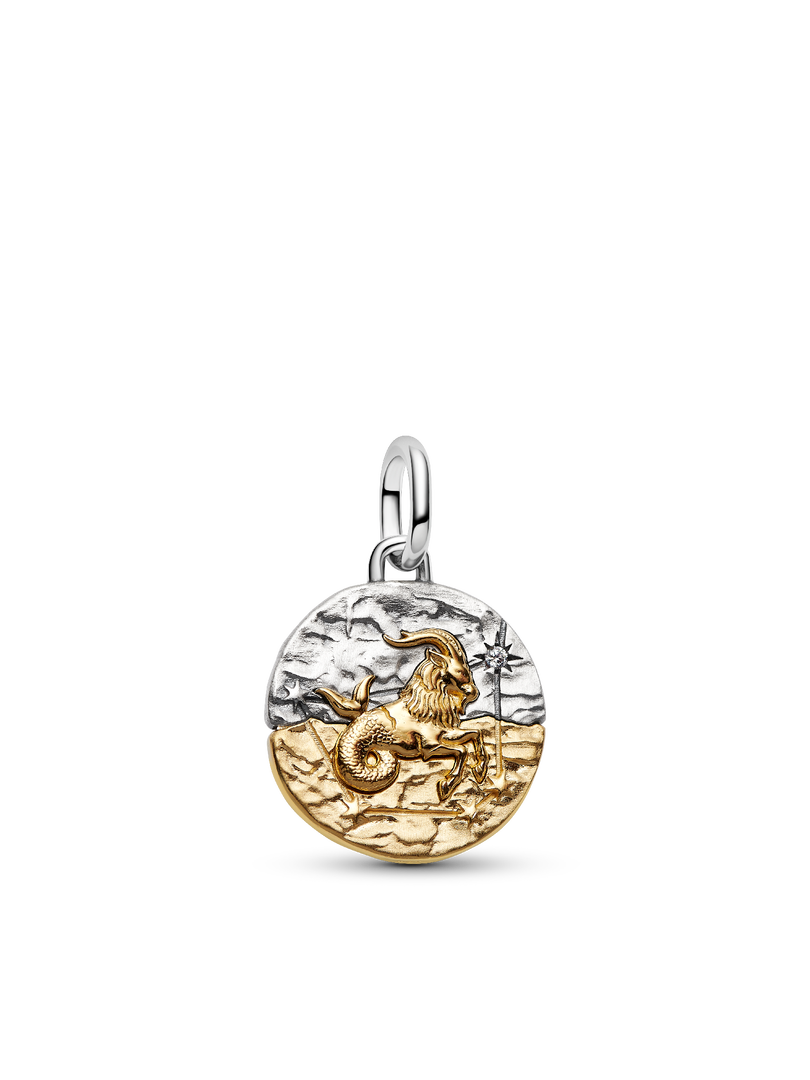 Capricorn Medallion Charm Bracelet