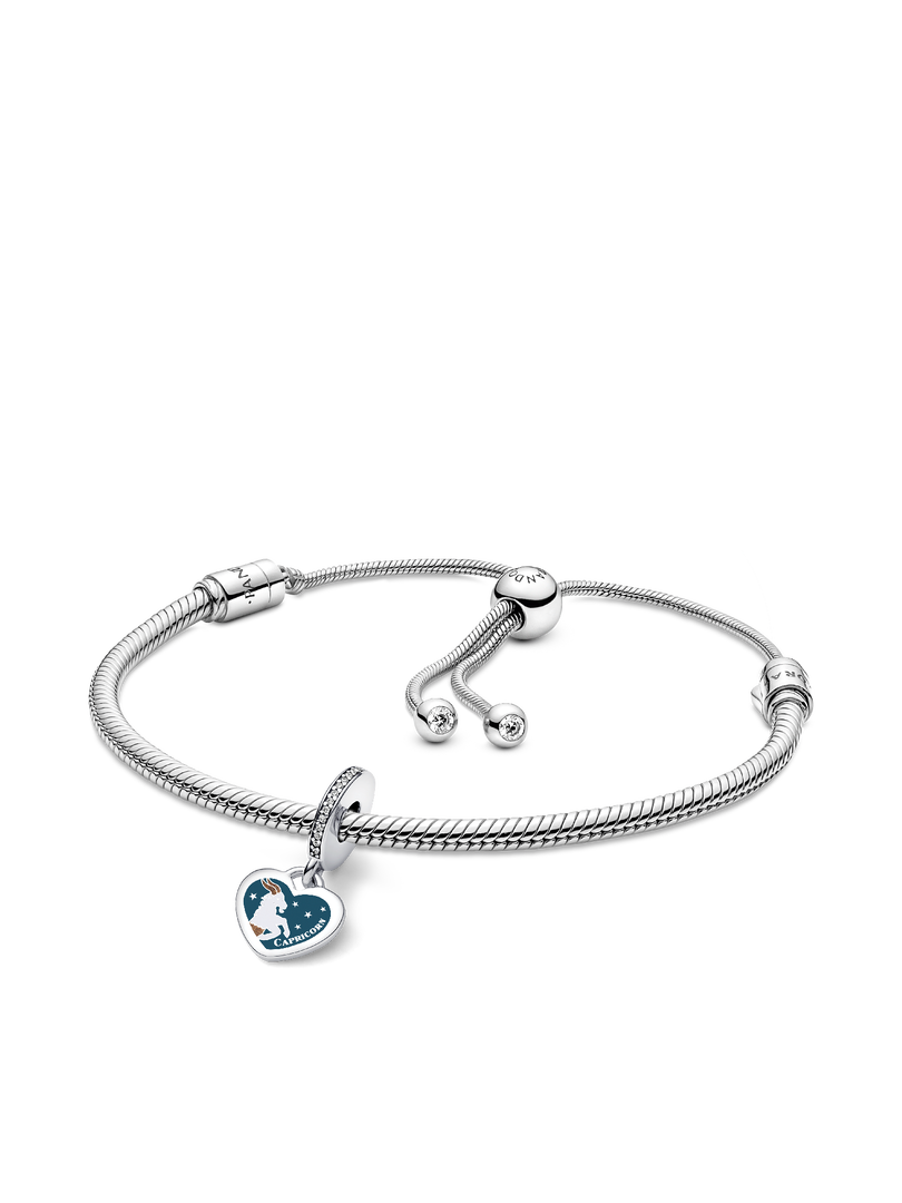 Capricorn Dangle Charm Bracelet Set