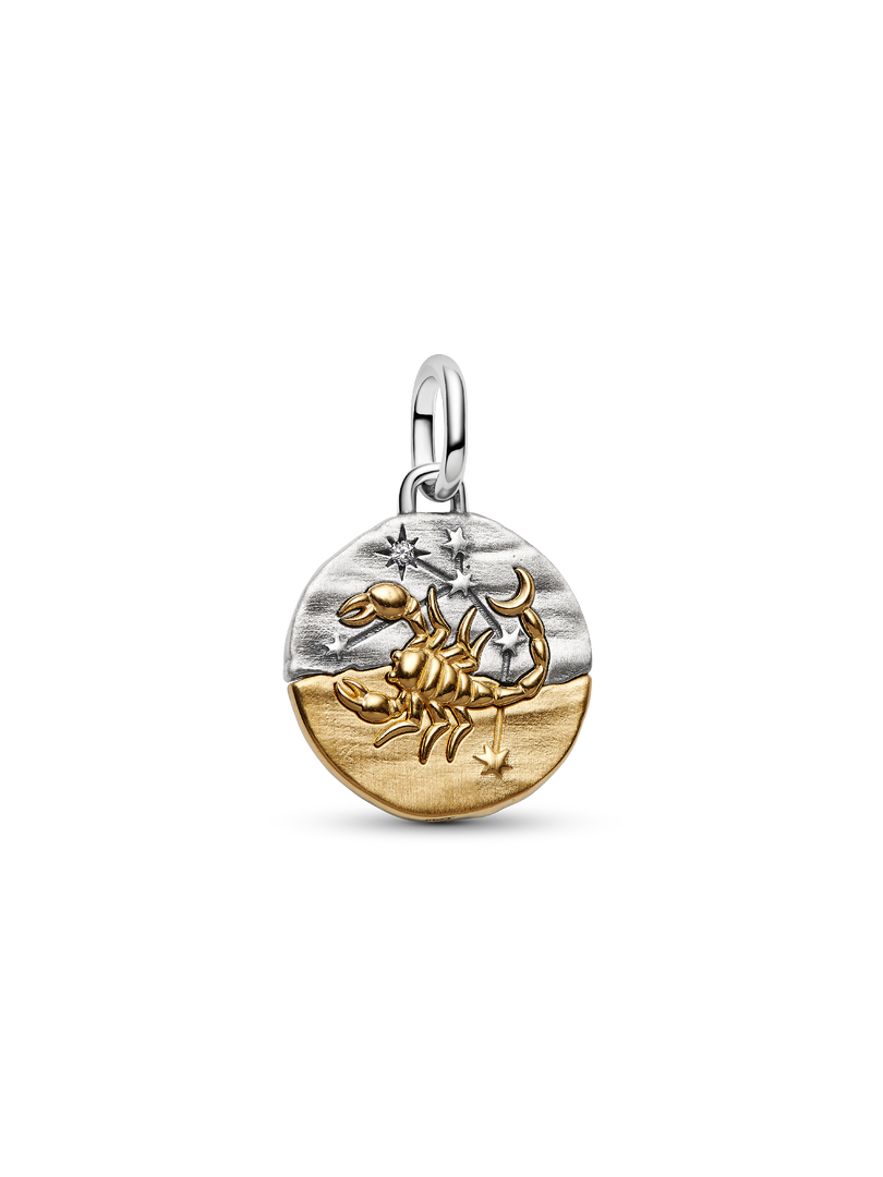 Scorpio Zodiac Medallion Charm