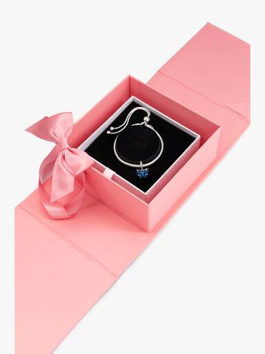 Butterfly Wings Charm Bracelet Gift Set