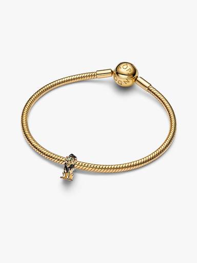 Charm Taka des Méchants de Disney