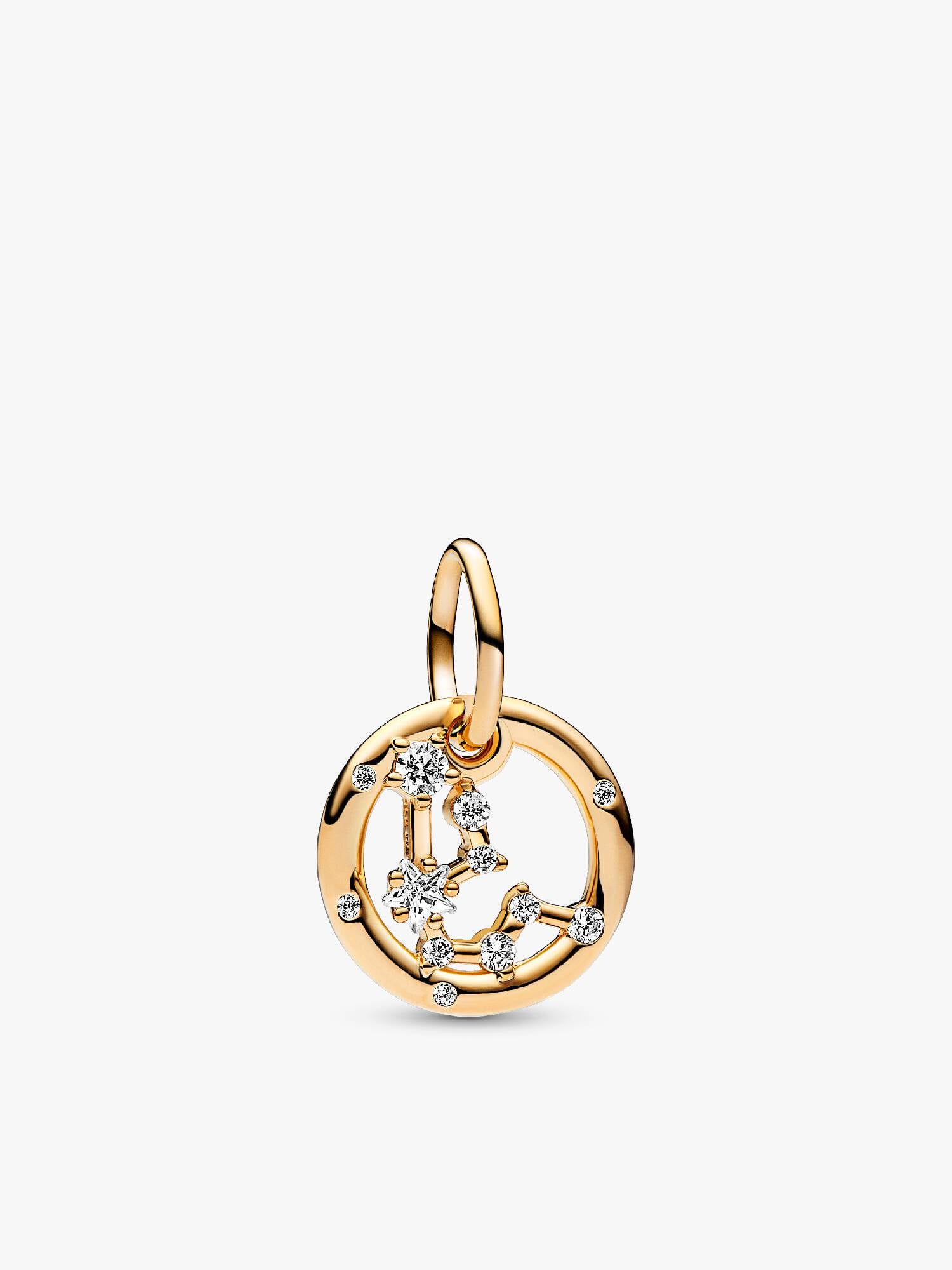 Aquarius Zodiac Dangle Charm