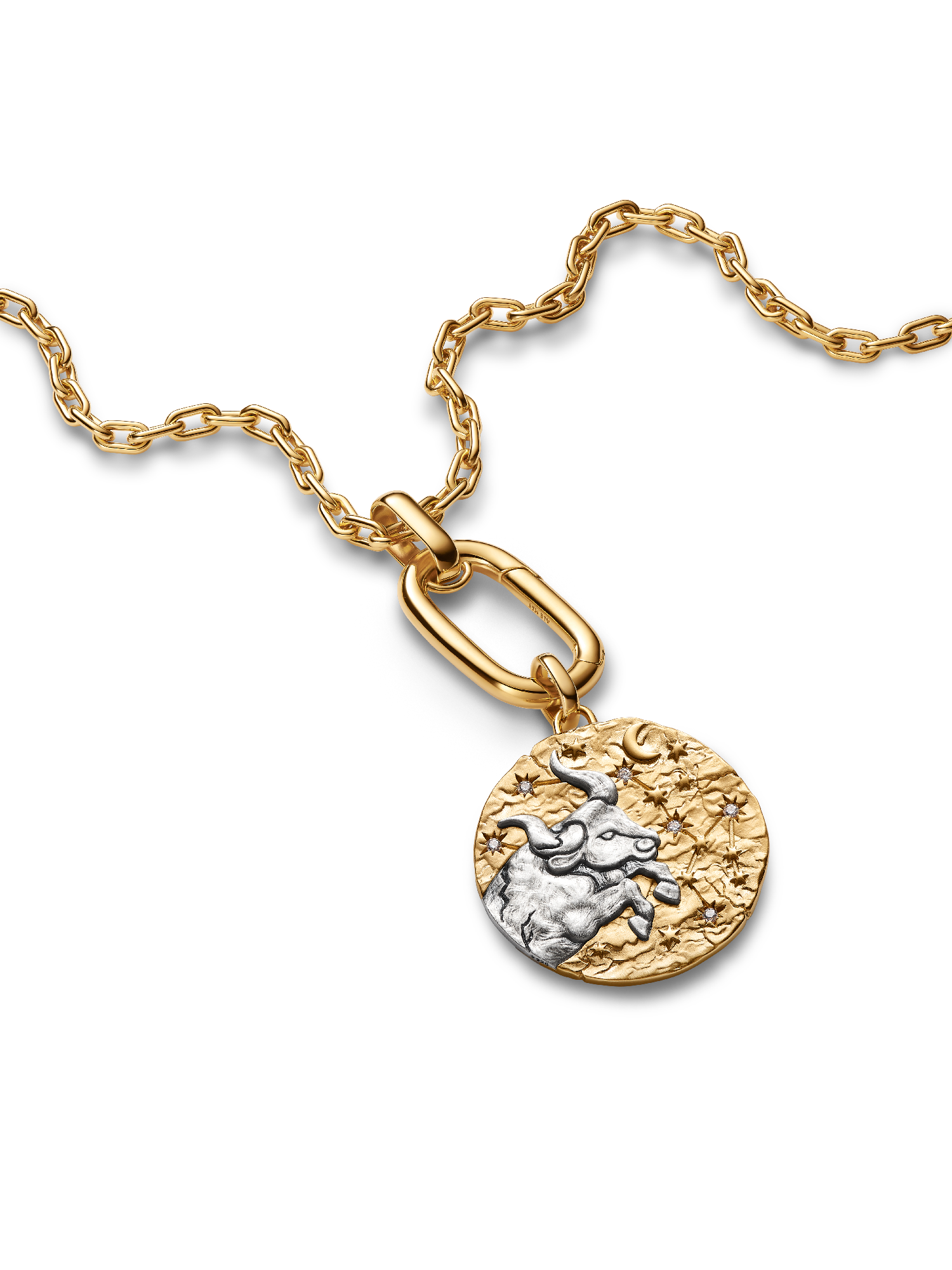 Taurus Zodiac Oversized Medallion Charm
