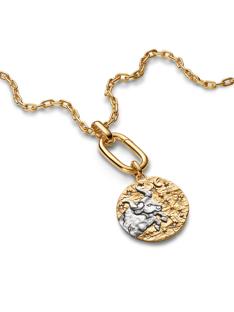 Taurus Zodiac Oversized Medallion Charm