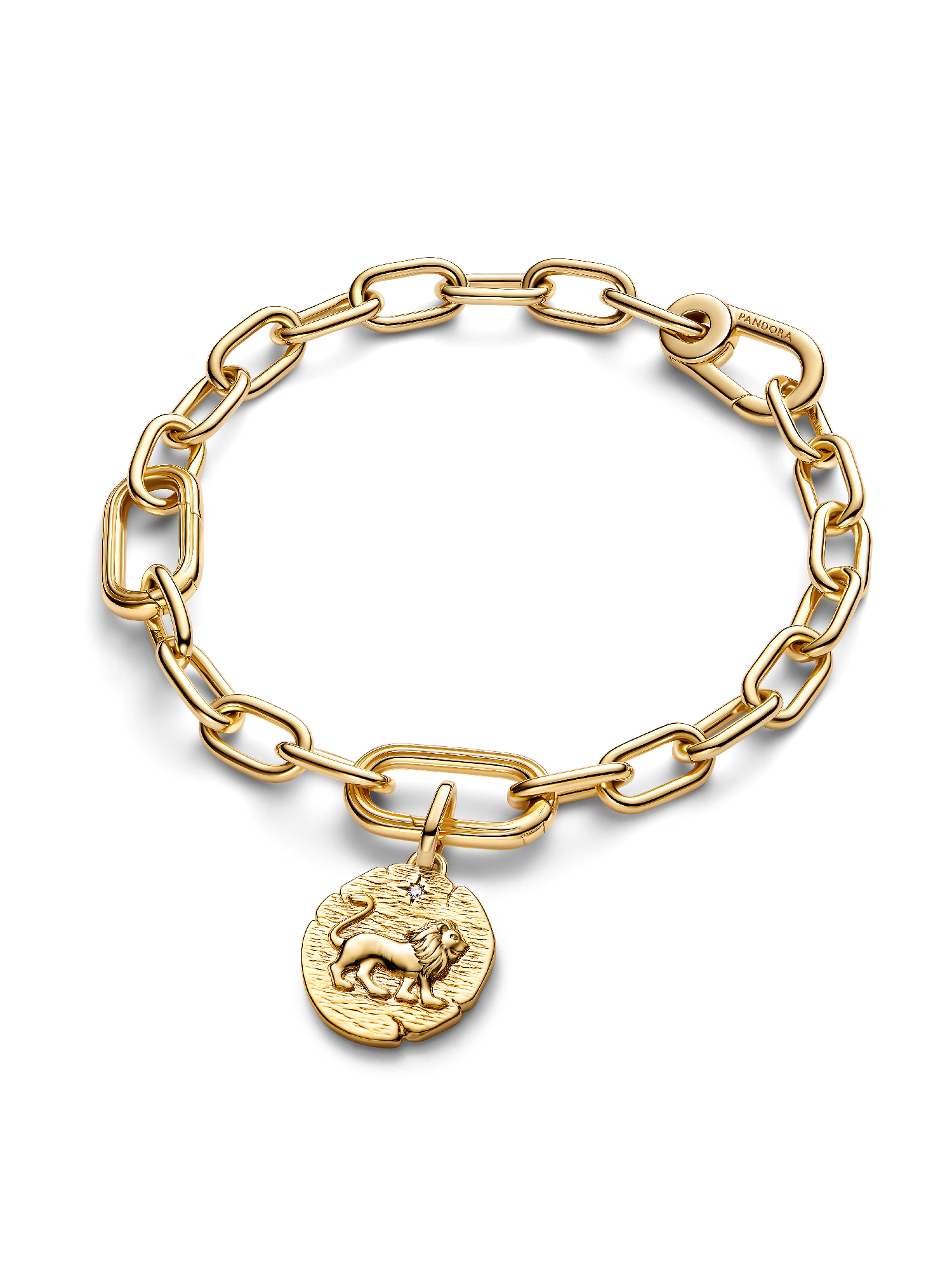 Lion Medallion Charm