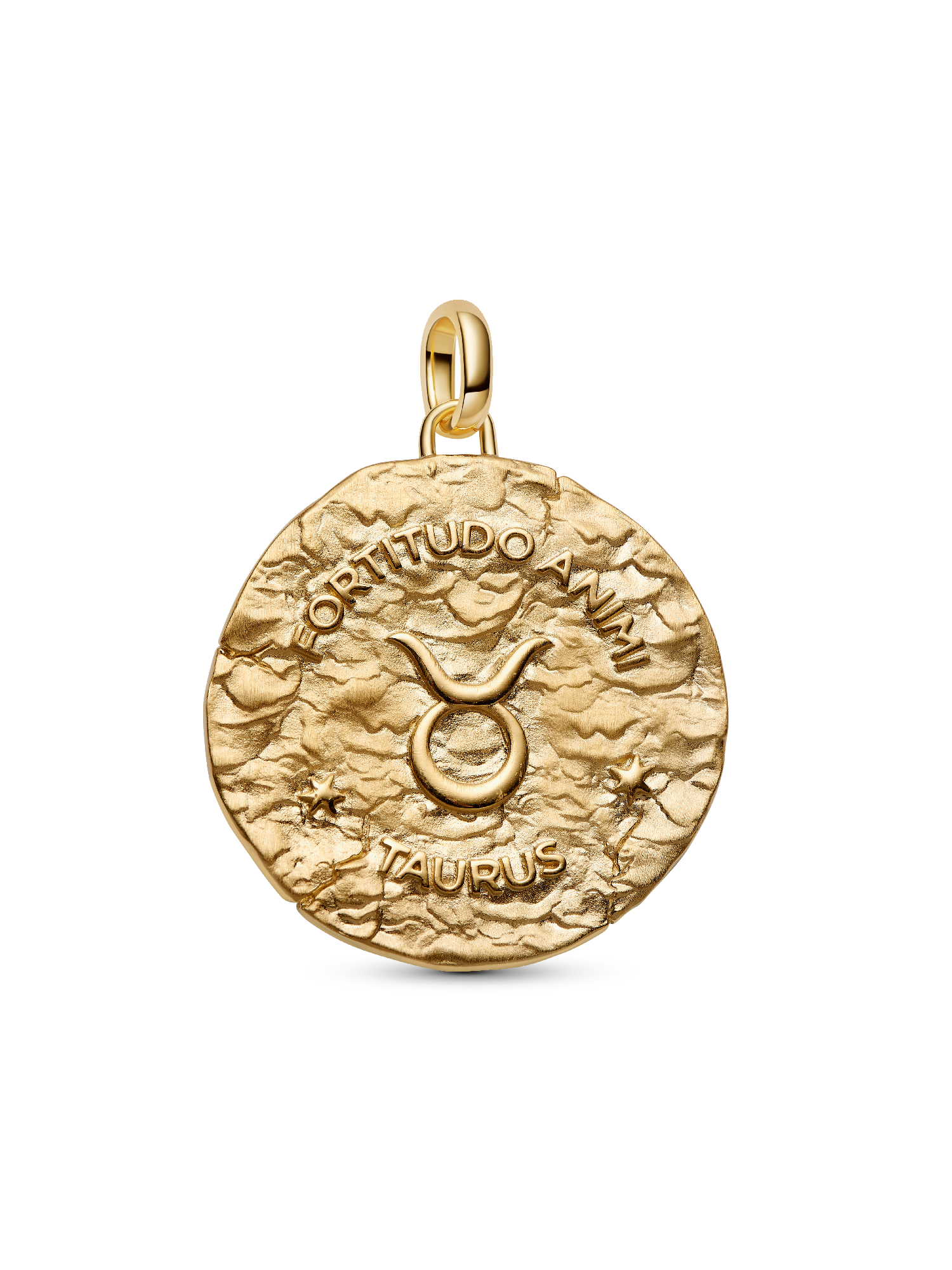 Taurus Zodiac Oversized Medallion Charm