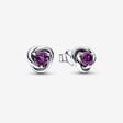 February Purple Eternity Circle Stud Earrings