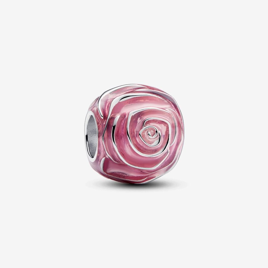Charm Rose rose en fleur image number 0