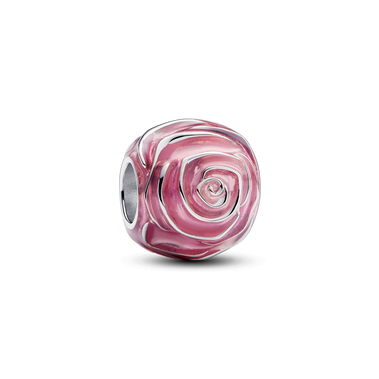 Charm Rose rose en fleur