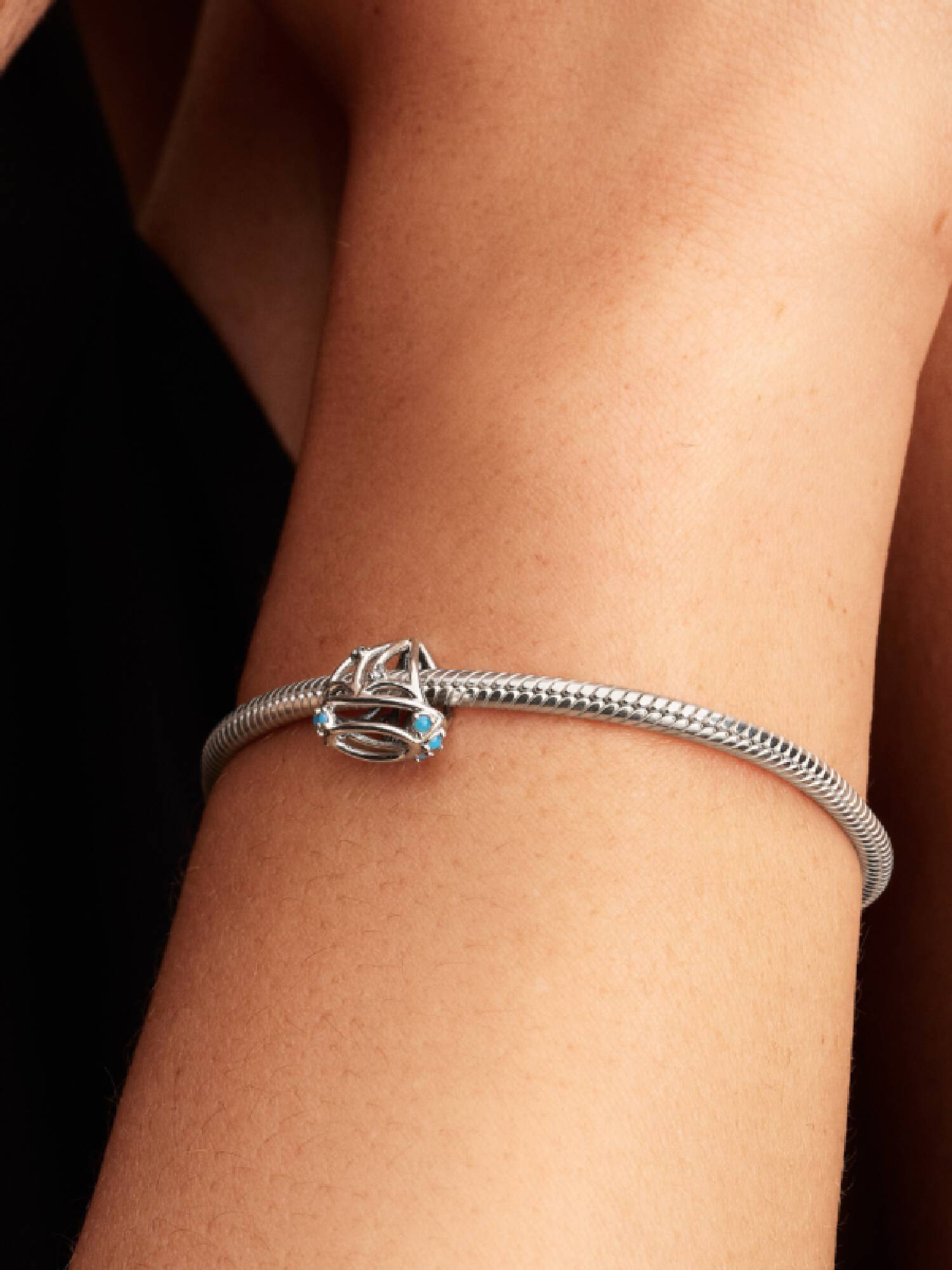 Charm Voilier