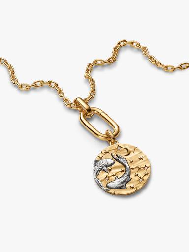 Pisces Zodiac Oversized Medallion Charm
