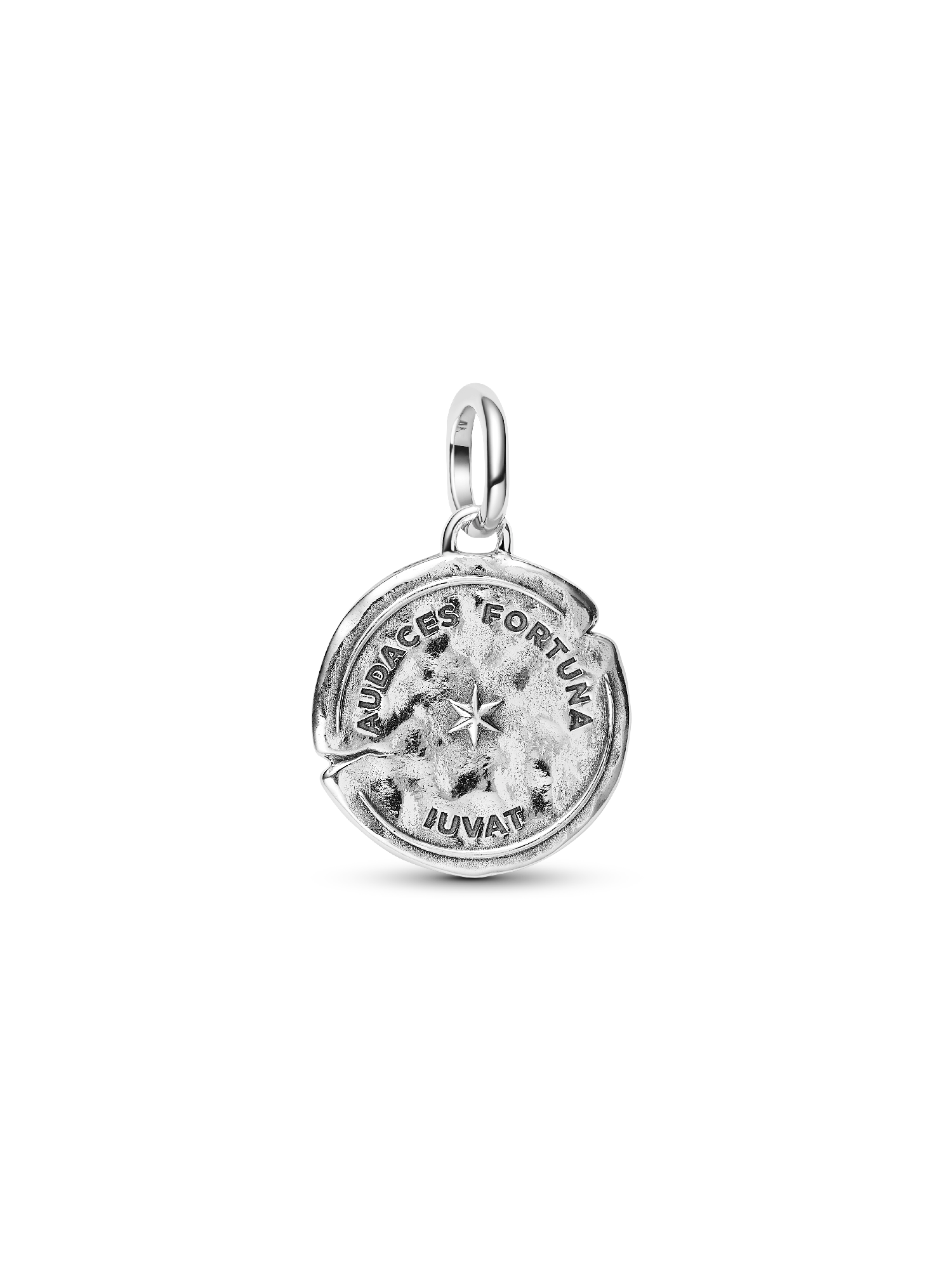 Dolphin Medallion Charm