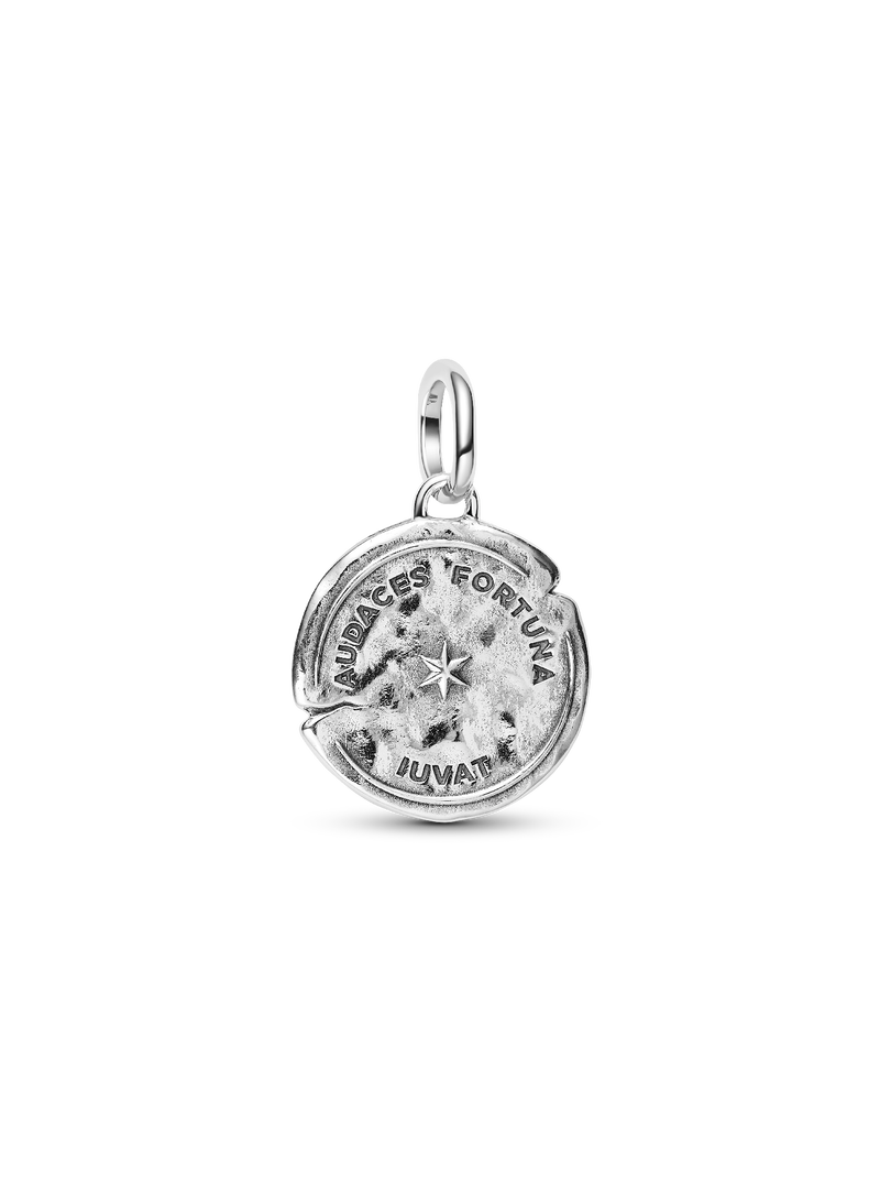 Dolphin Medallion Charm
