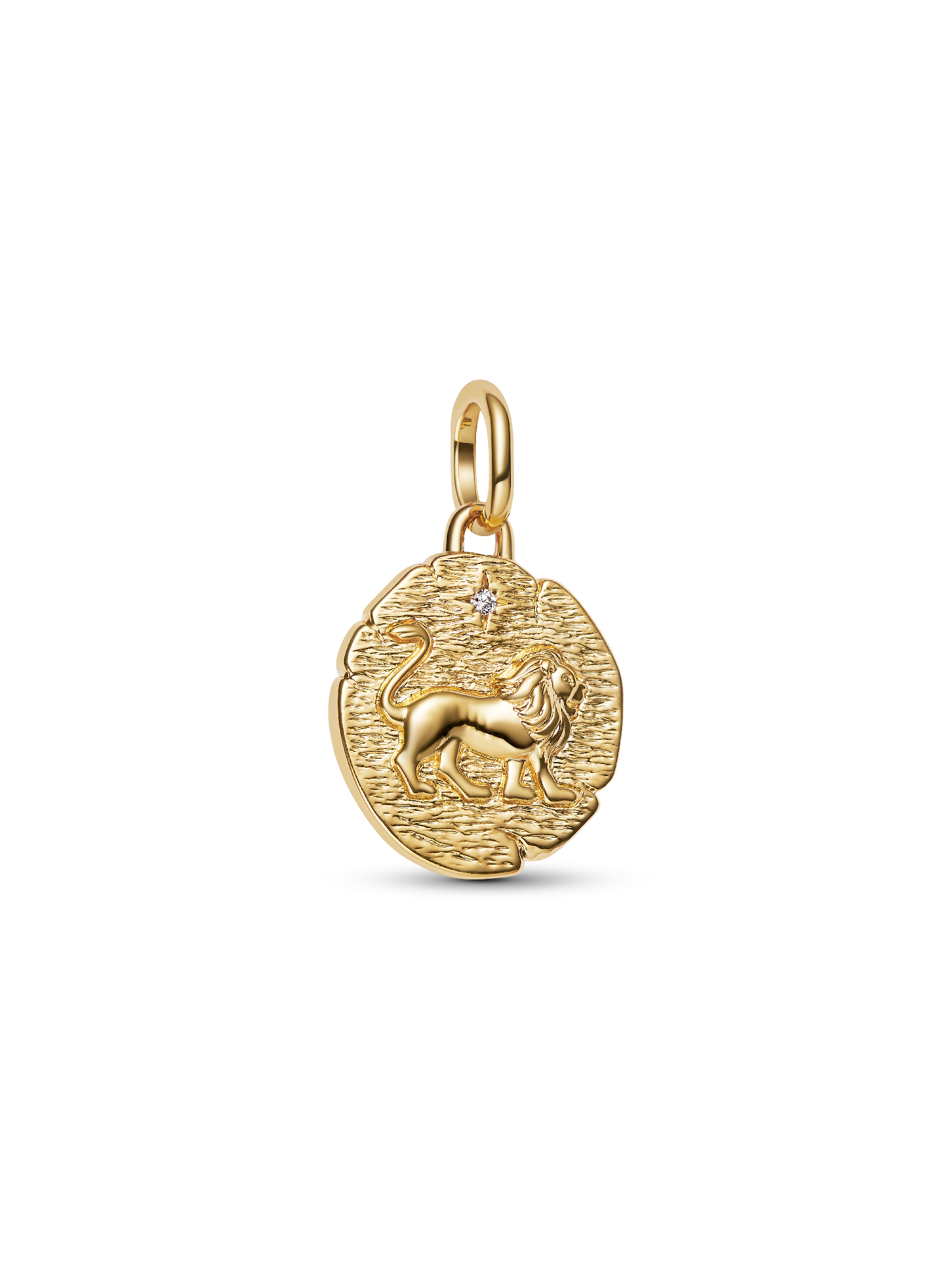Lion Medallion Charm