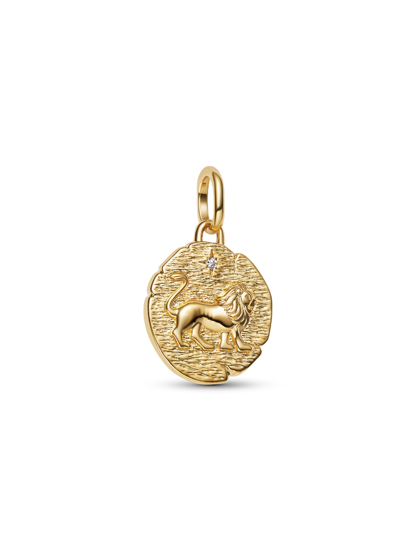 Lion Medallion Charm