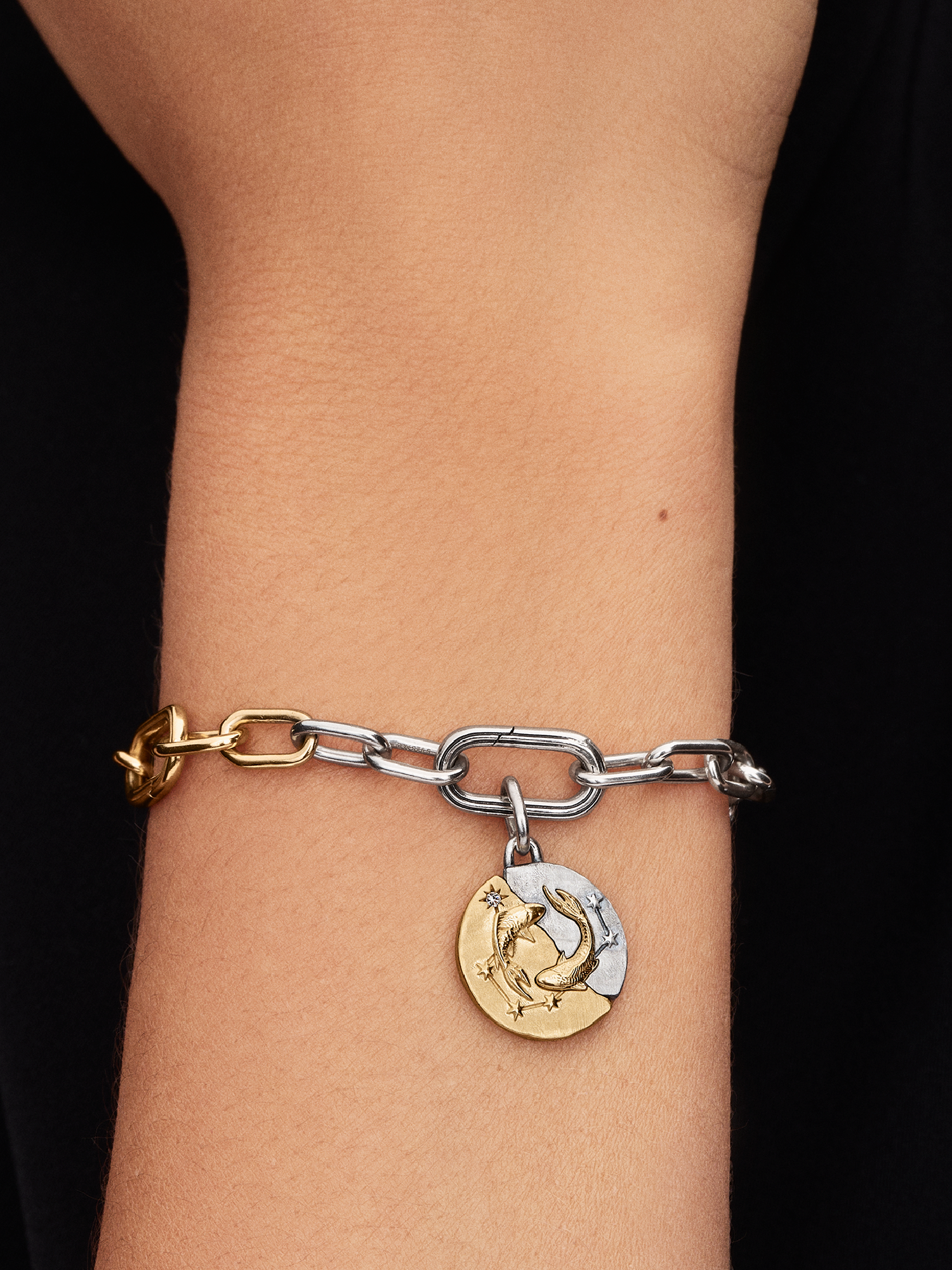 Pisces Zodiac Medallion Charm