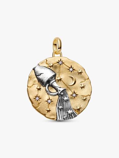 Aquarius Zodiac Oversized Medallion Charm