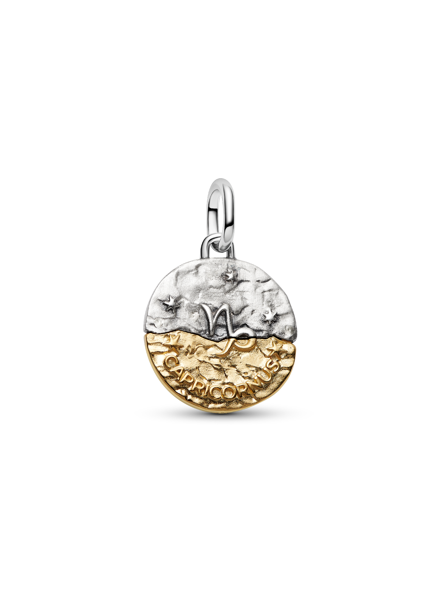 Capricorn Zodiac Medallion Charm