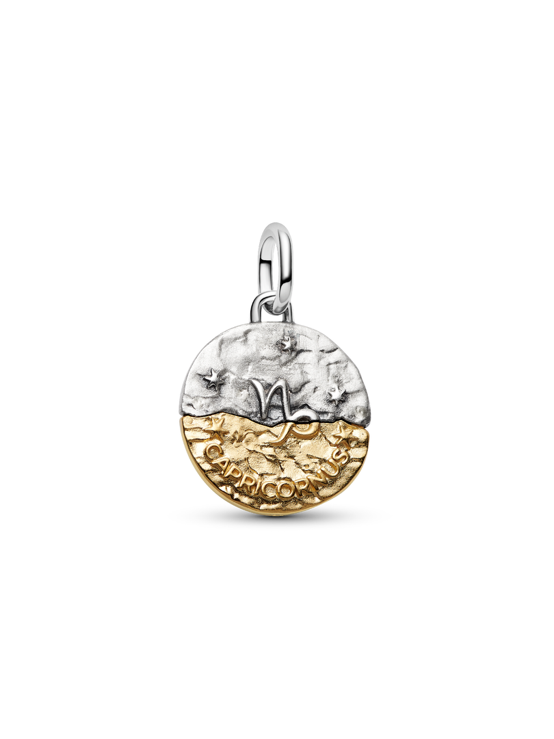 Capricorn Zodiac Medallion Charm