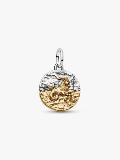 Capricorn Zodiac Medallion Charm