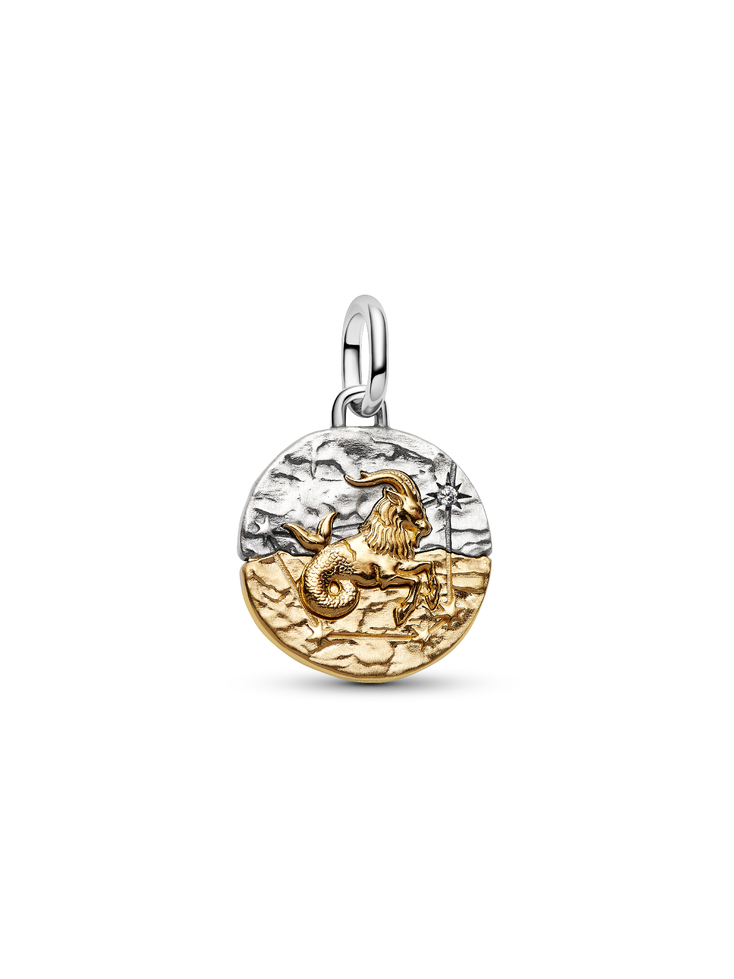 Capricorn Zodiac Medallion Charm