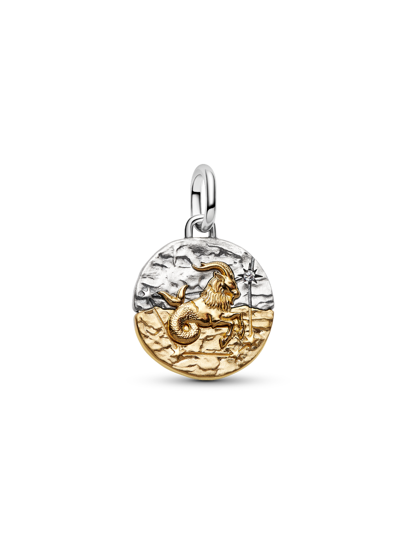 Capricorn Zodiac Medallion Charm