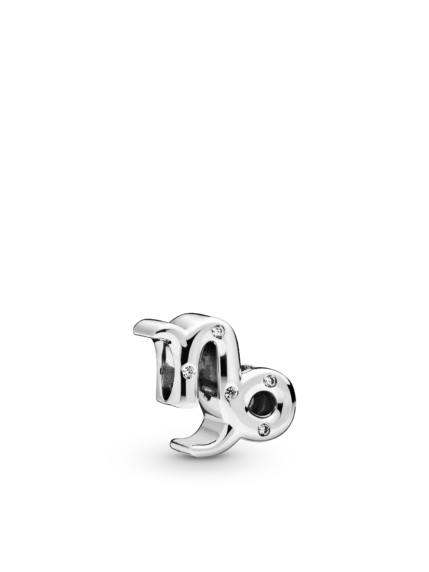 Capricorn Zodiac Charm Bracelet Set