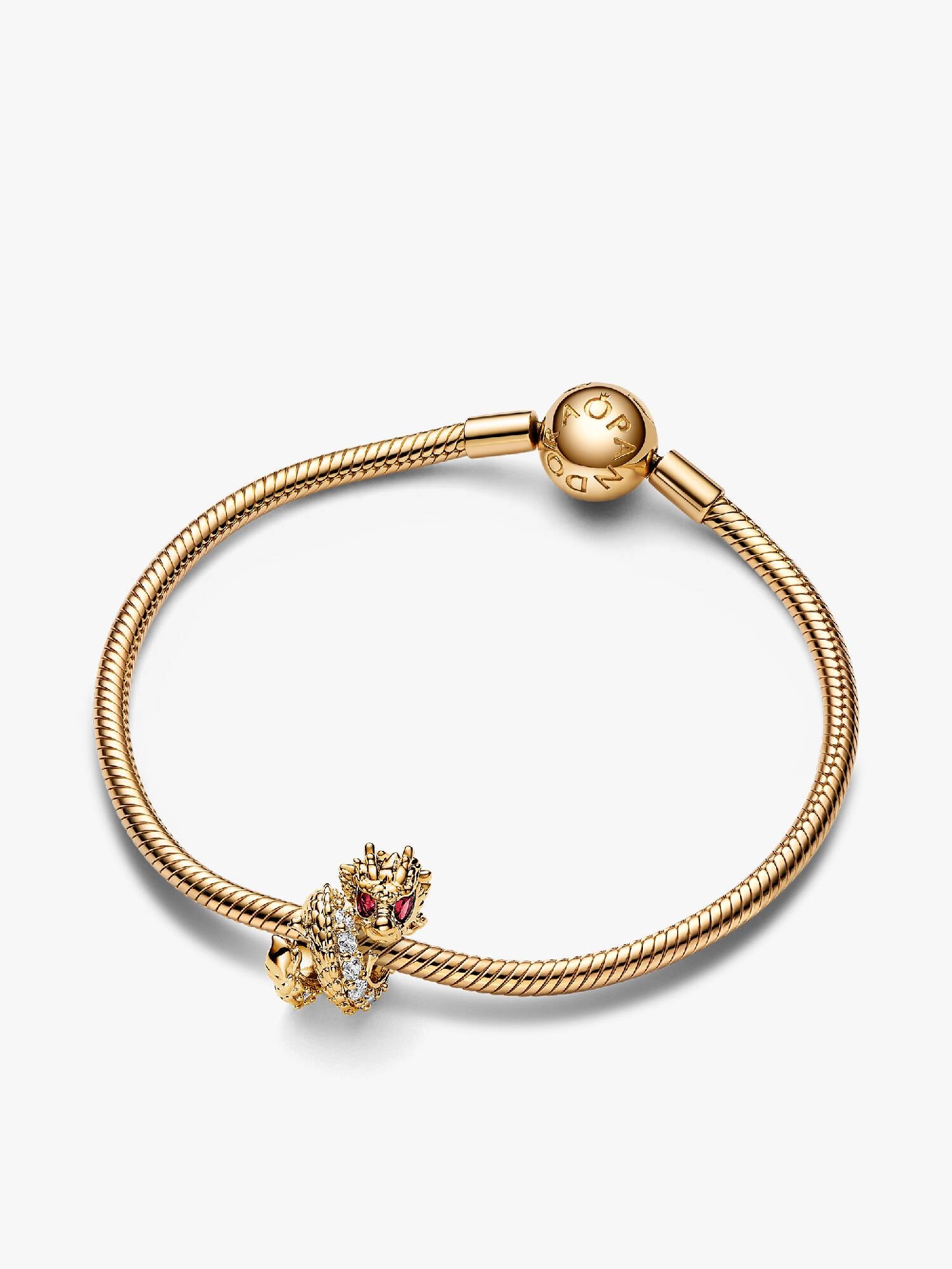 Dragon Charm Bracelet Set