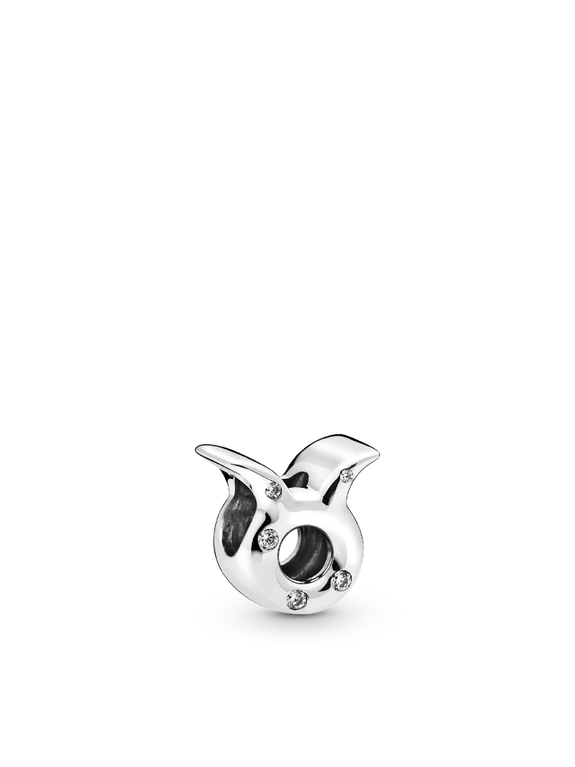 Taurus Zodiac Charm Bracelet Set